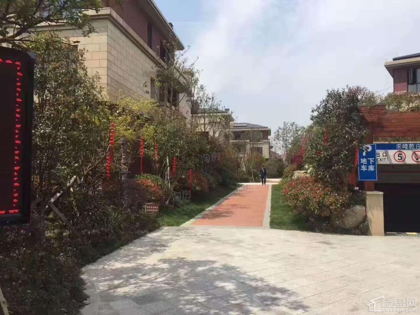 禾峰乾庄实景图