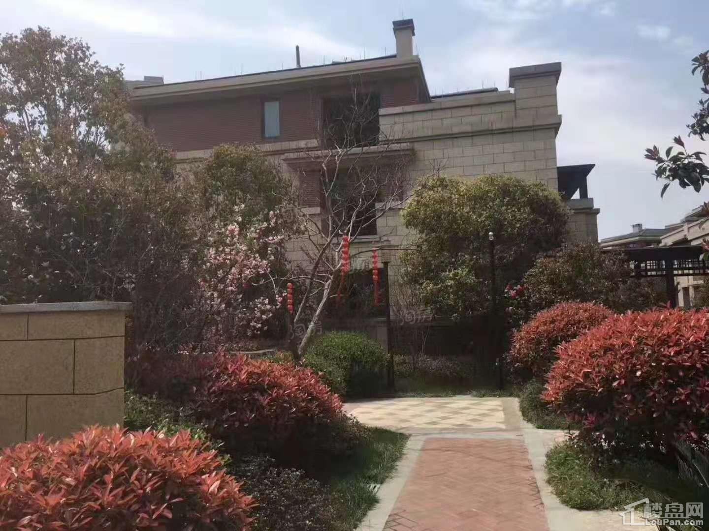 禾峰乾庄实景图
