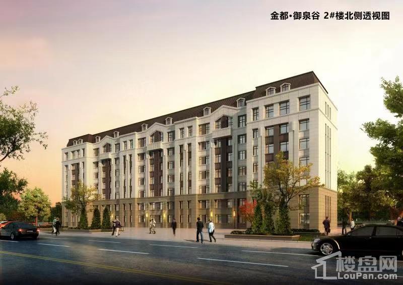 轩珆御泉谷效果图