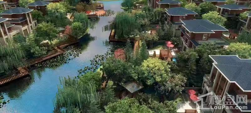 轩珆御泉谷实景图