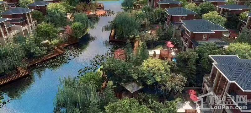 轩珆御泉谷实景图