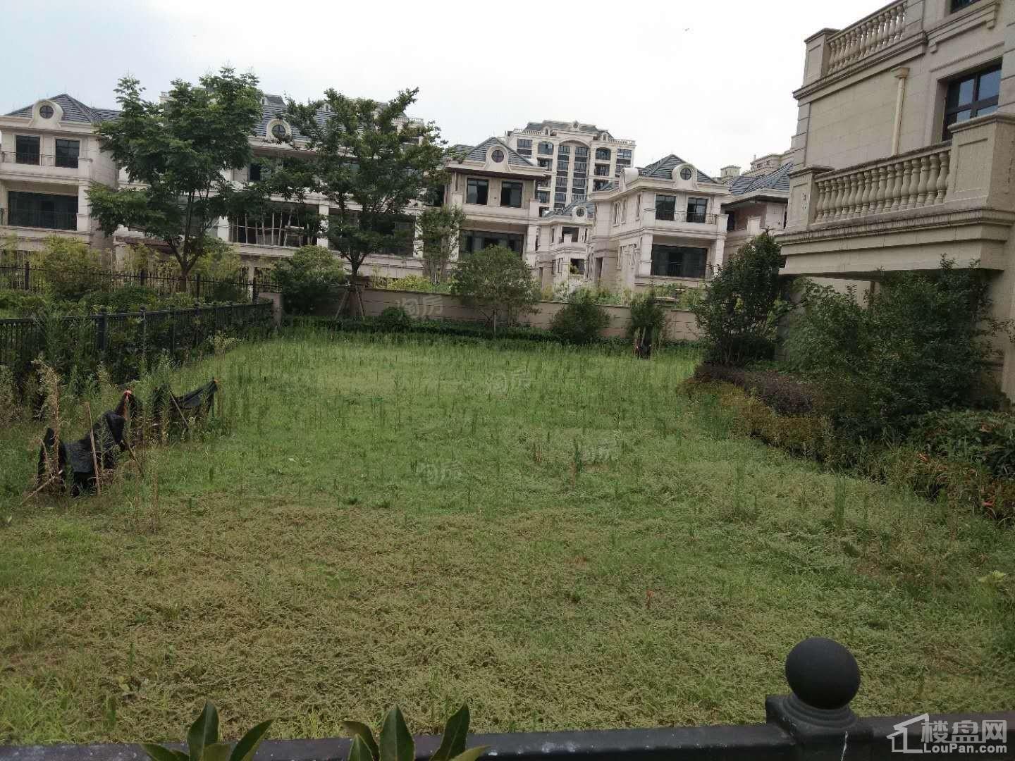 实景图