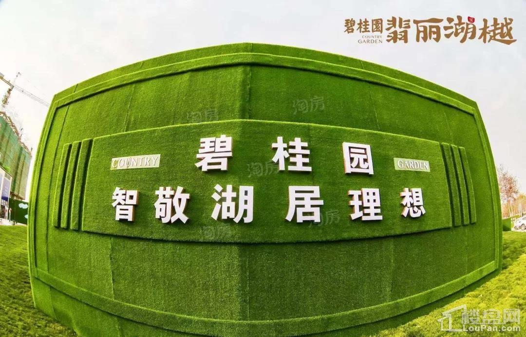 碧桂园·翡丽湖樾实景图