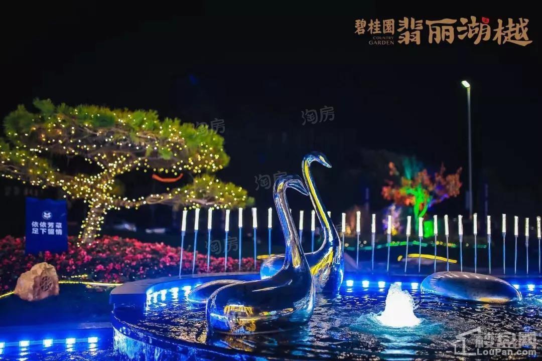 碧桂园·翡丽湖樾实景图