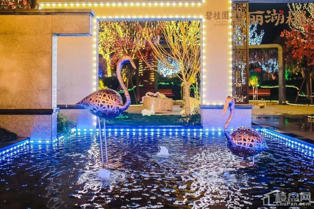 碧桂园·翡丽湖樾实景图