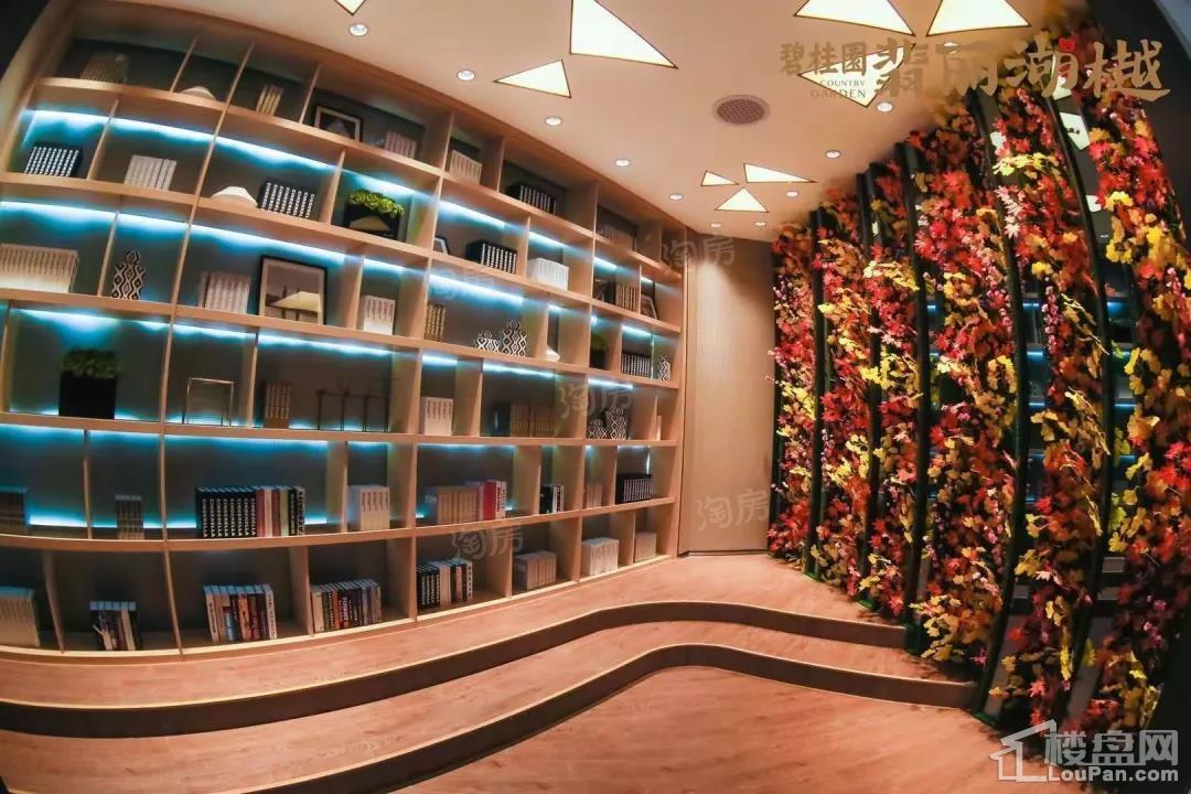 碧桂园·翡丽湖樾实景图