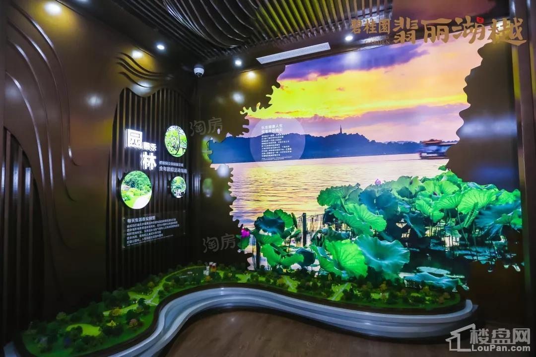 碧桂园·翡丽湖樾实景图