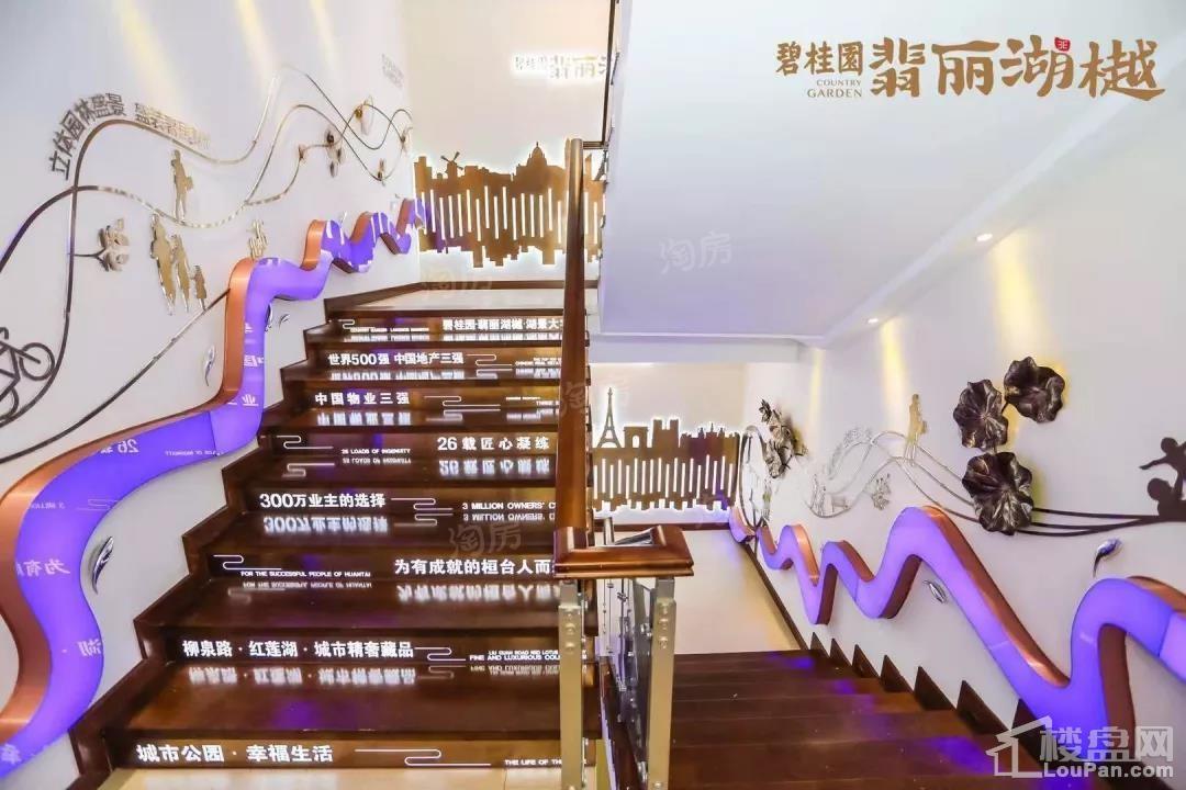 碧桂园·翡丽湖樾实景图
