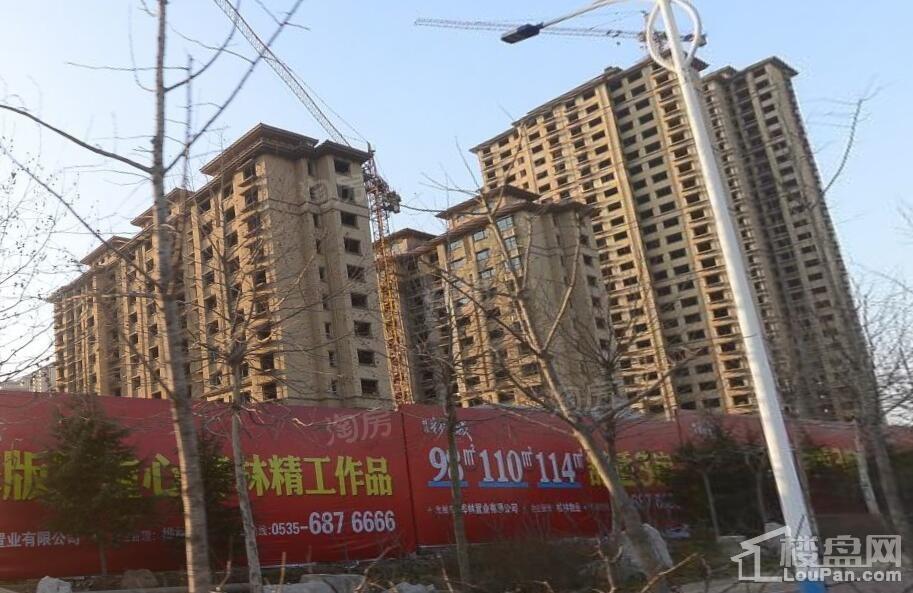桦林彩雲城实景图