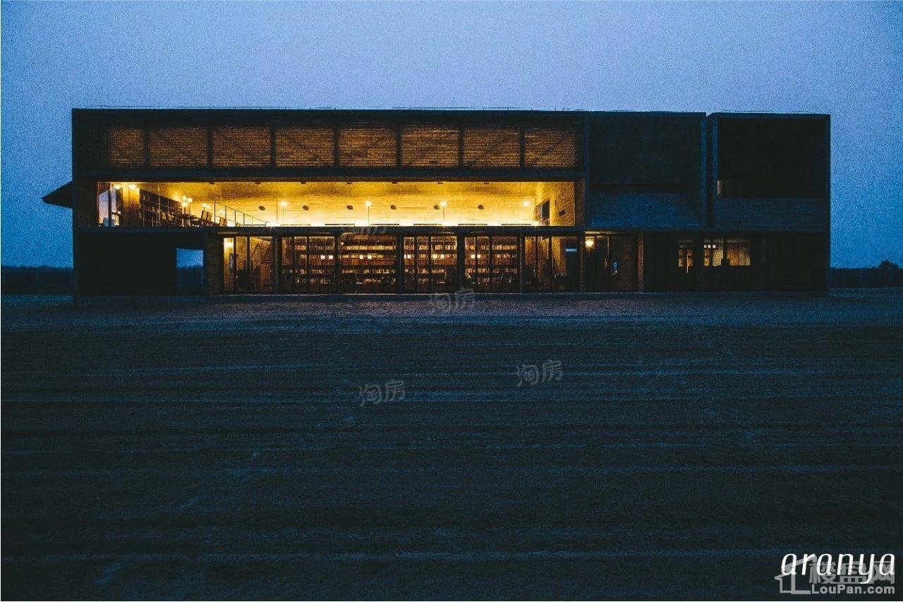 阿那亚Aranya配套图