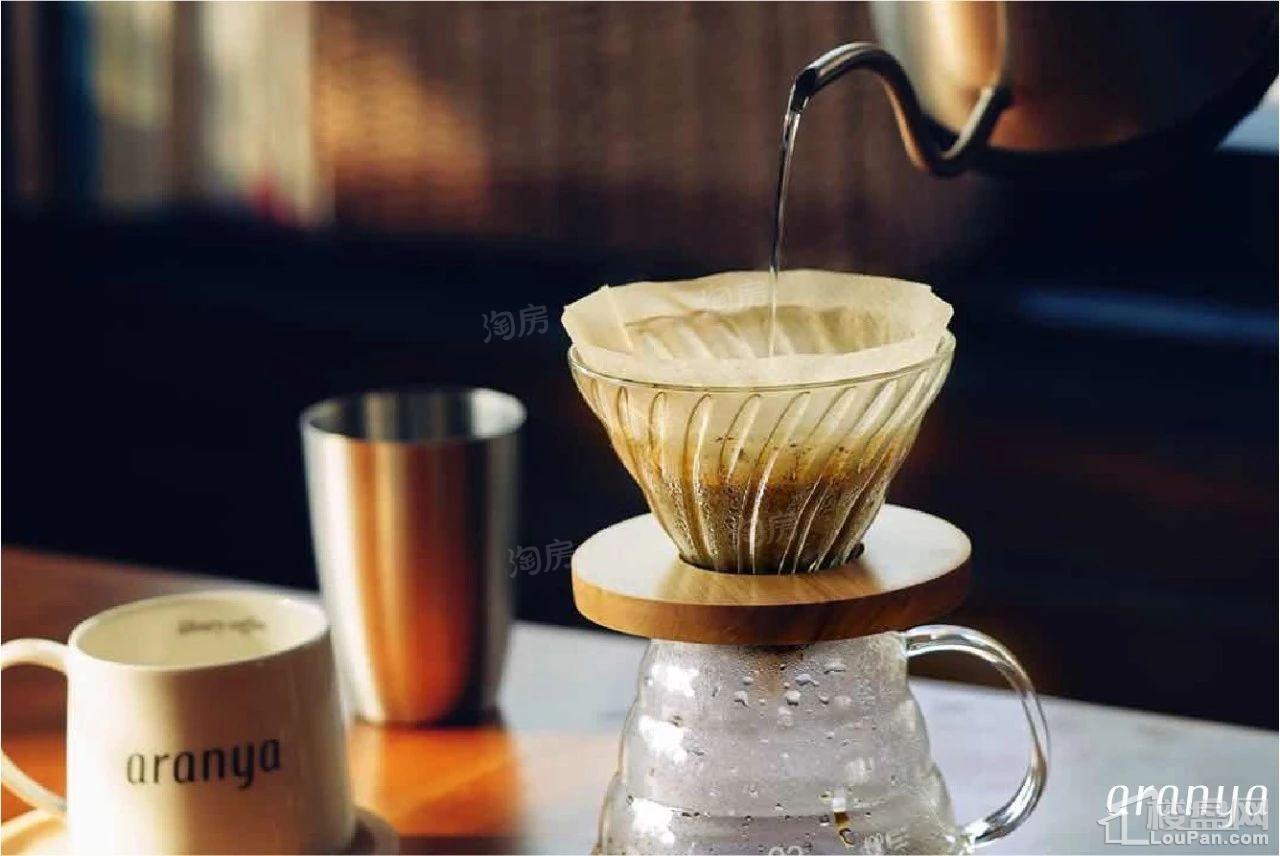 阿那亚Aranya配套图