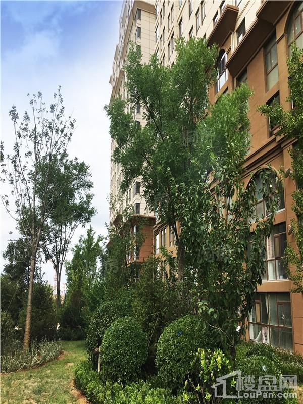 青山翠谷实景图