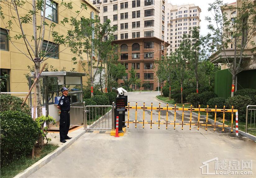 青山翠谷实景图
