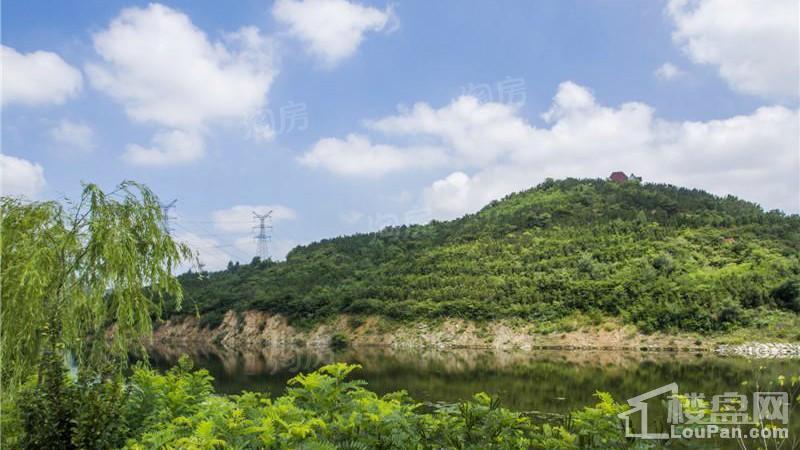 清泉山湖大院实景图