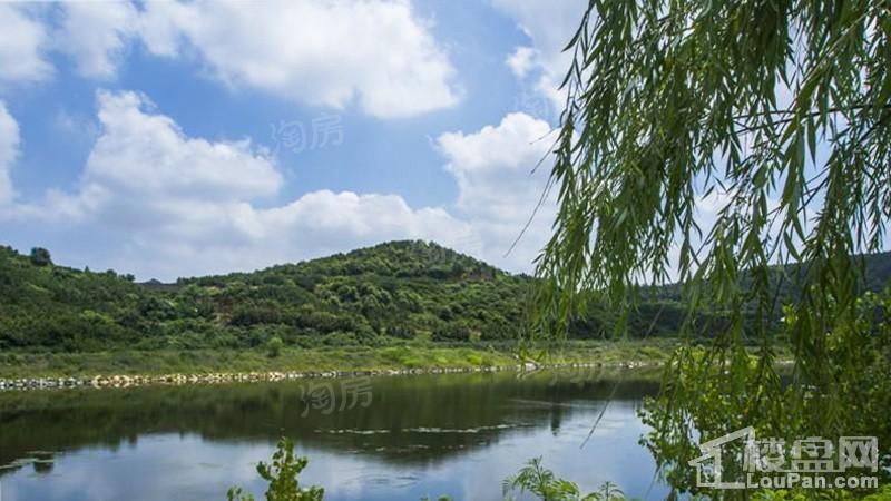 清泉山湖大院实景图