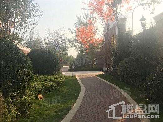 金地浅山艺境实景图