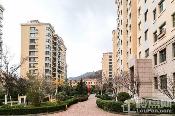 紫郡城实景图