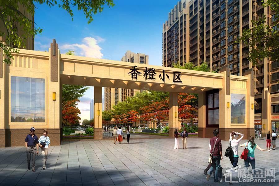 香橙效果图
