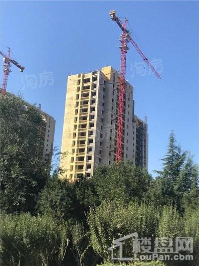 实景图