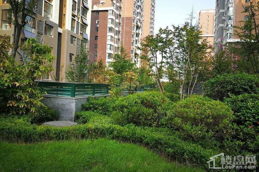 天颐郦城三期时光里实景图