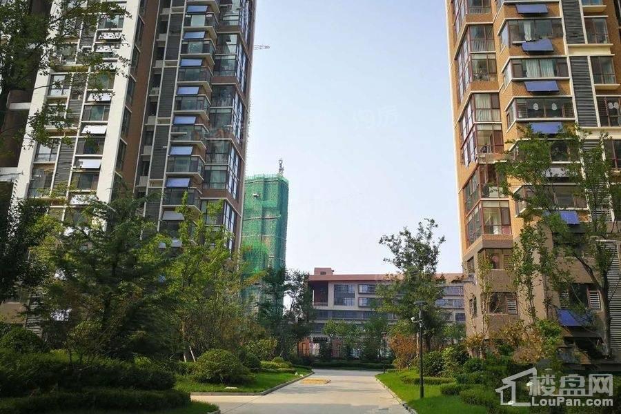 天颐郦城三期时光里实景图