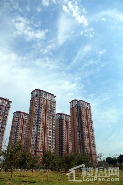 实景图