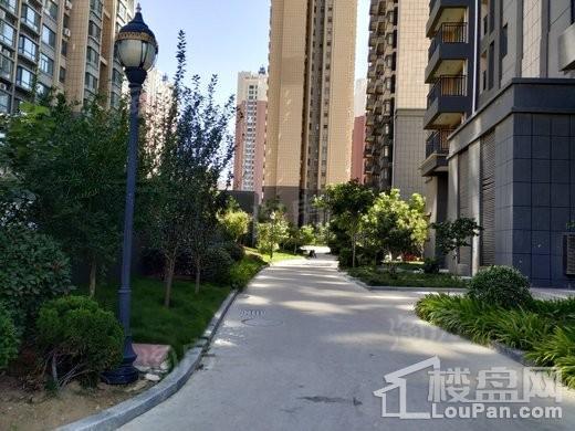 山水龙城实景图