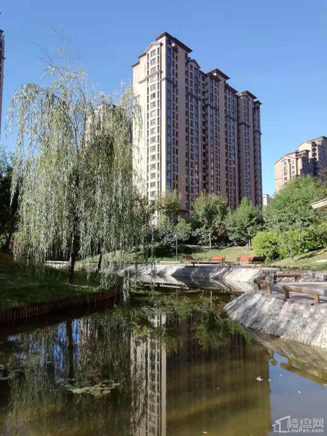 龙TOWN铂悦山实景图