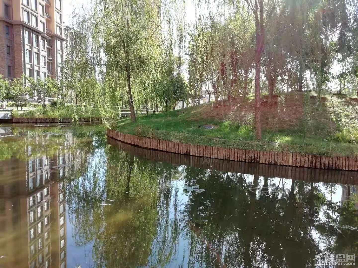 龙TOWN铂悦山实景图