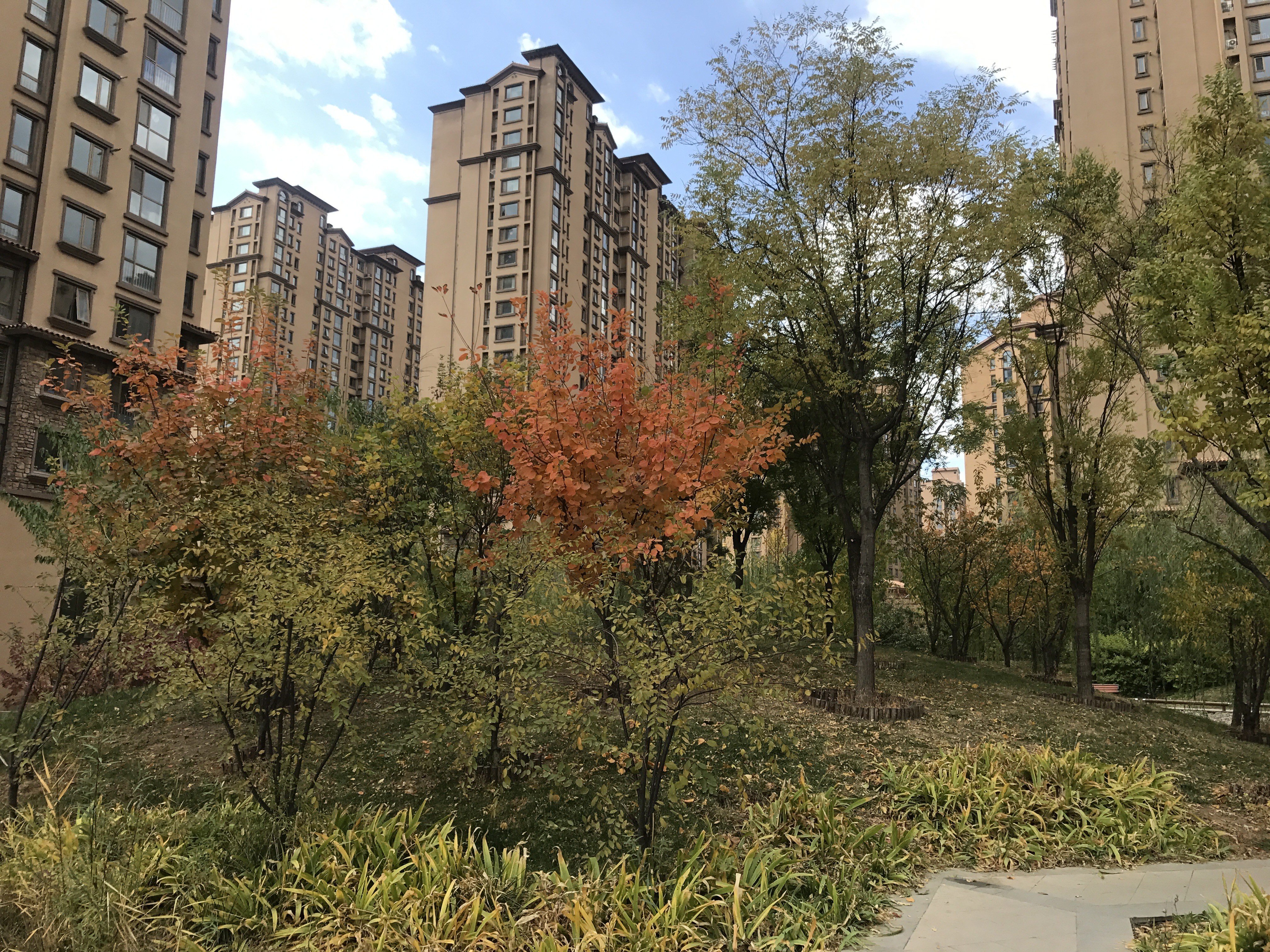 龙TOWN铂悦山实景图