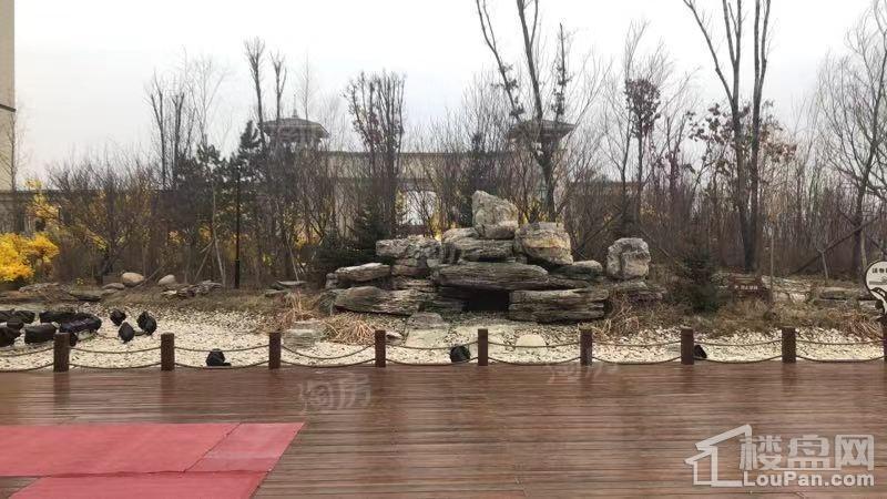 金源蓝城实景图
