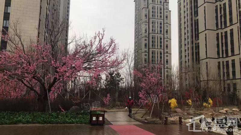 金源蓝城实景图