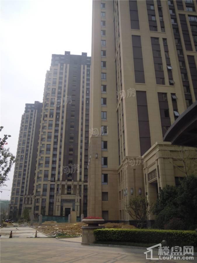 金地澜悦实景图