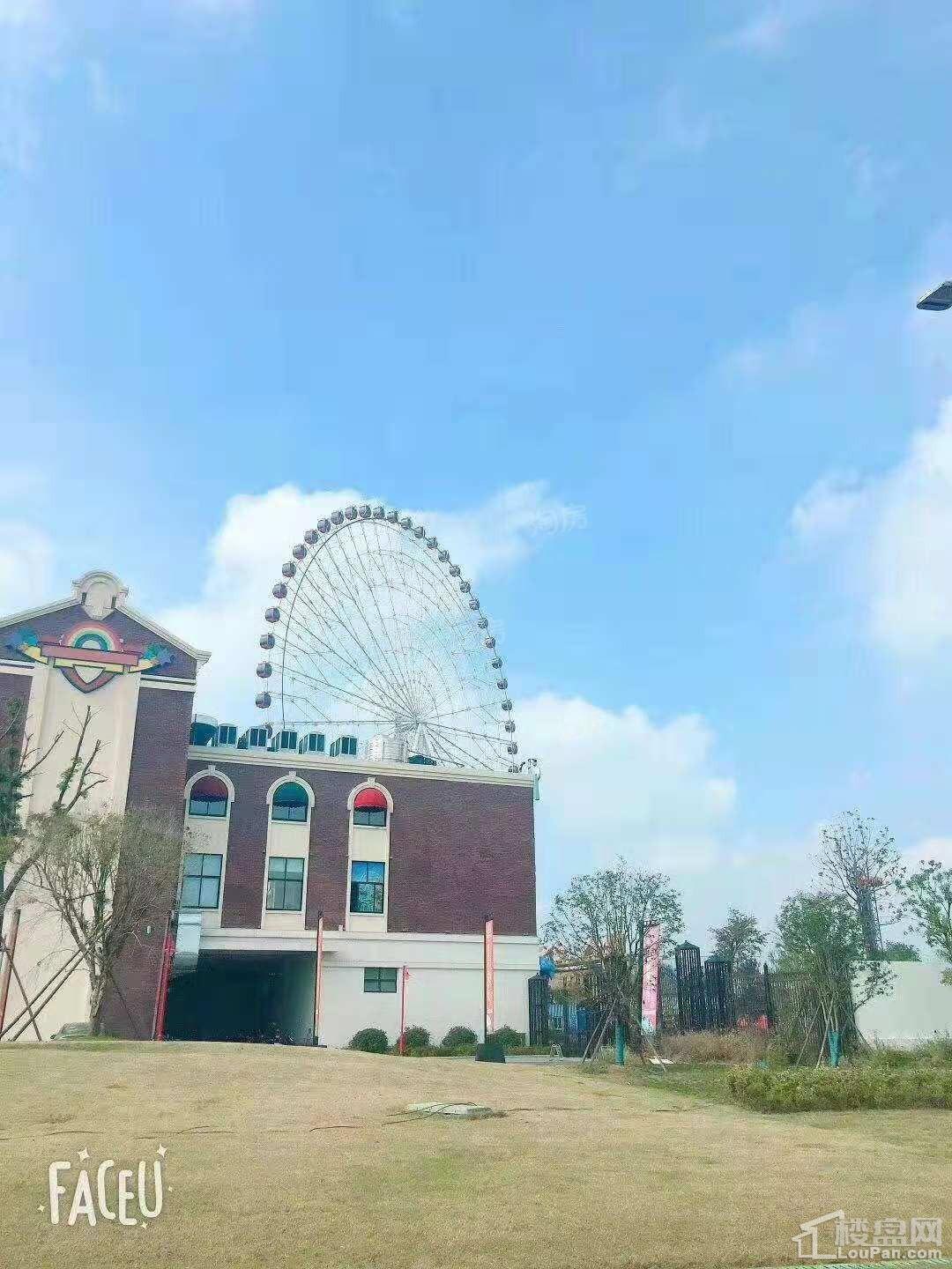 实景图