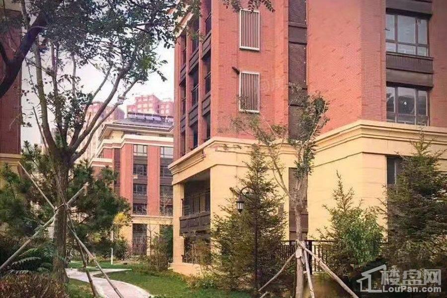 十里洋房实景图