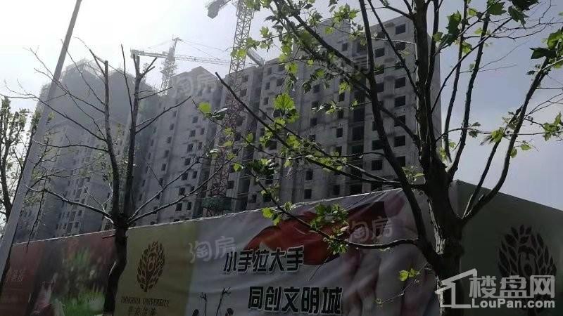 学府清华实景图