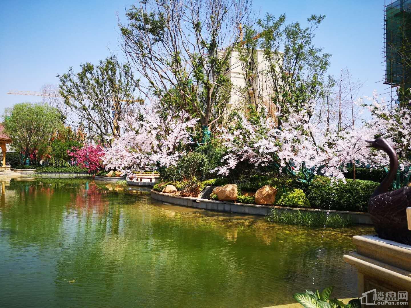 泰安恒大翡翠华庭实景图