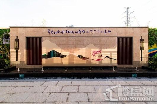 碧桂园天悦实景图