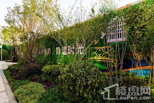 碧桂园天悦实景图