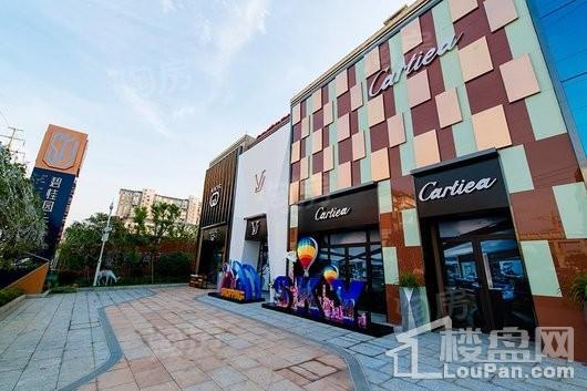 碧桂园天悦实景图