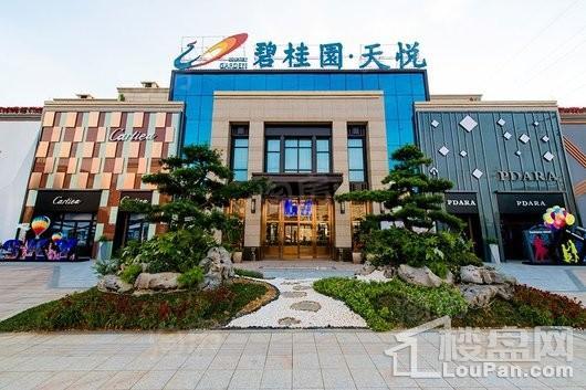 碧桂园天悦实景图