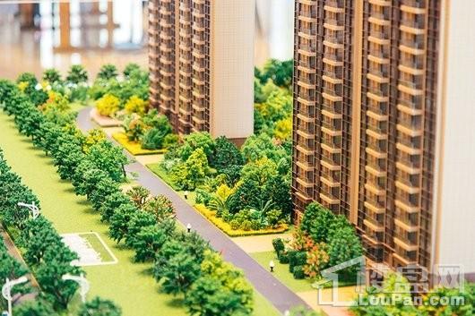 碧桂园天悦实景图