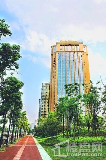 红橡国际广场实景图