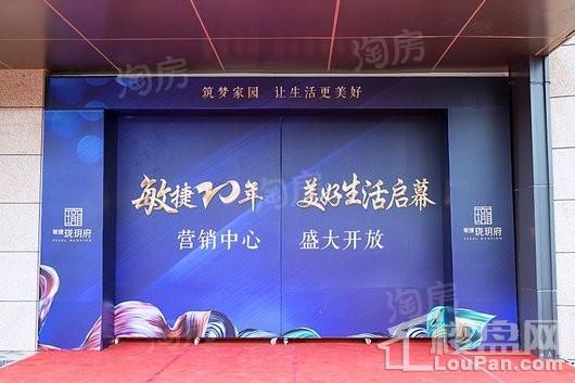 敏捷珑玥府实景图
