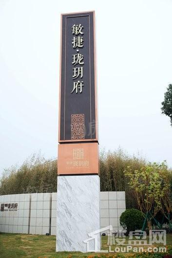实景图