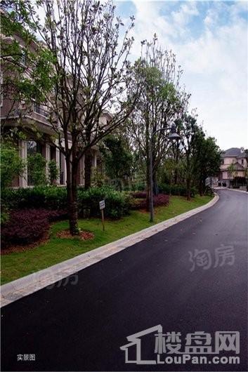 实景图