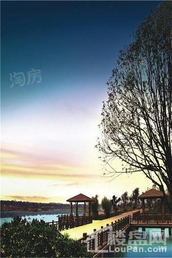 藏珑湖上公馆配套图