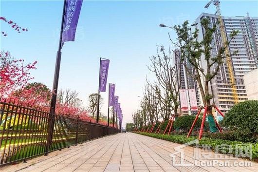宁乡恒大御景半岛实景图