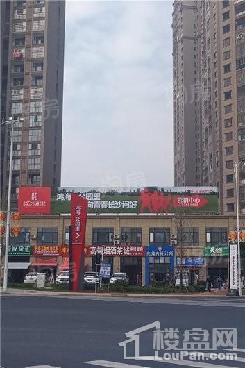 实景图
