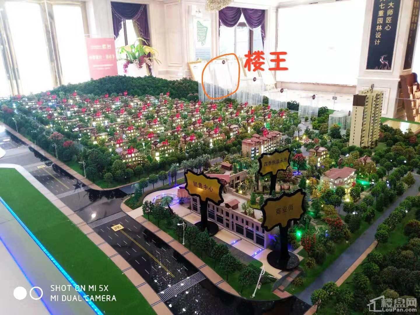 碧桂园紫台效果图